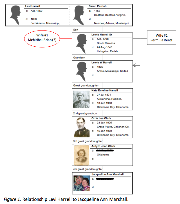 harrell_levi-to_marshall_jacqueline-ann_relshp_chart