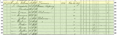 Cropped image of William Hughes family entry in 1870 US Census in Cole County, Missouri.